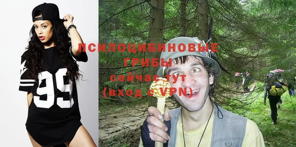 тгк Абинск