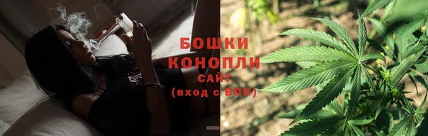 PSILOCYBIN Абаза