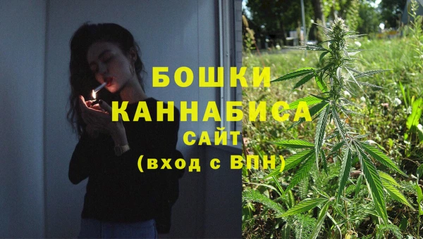 PSILOCYBIN Абаза